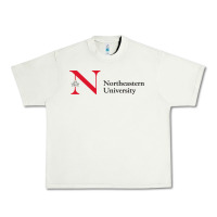 The The Northeastern Urban Heavy Tee | Teevron