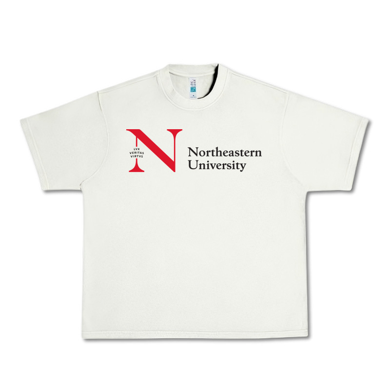 The The Northeastern Urban Heavy Tee by linhVisuals | Teevron