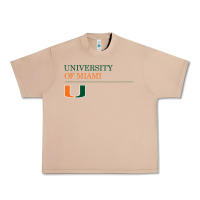Burro The university of miami Urban Heavy Tee - linhVisuals