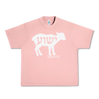 Salmon isaiah 53 lamb yeshua jesus t shirt Urban Heavy Tee - linhVisuals