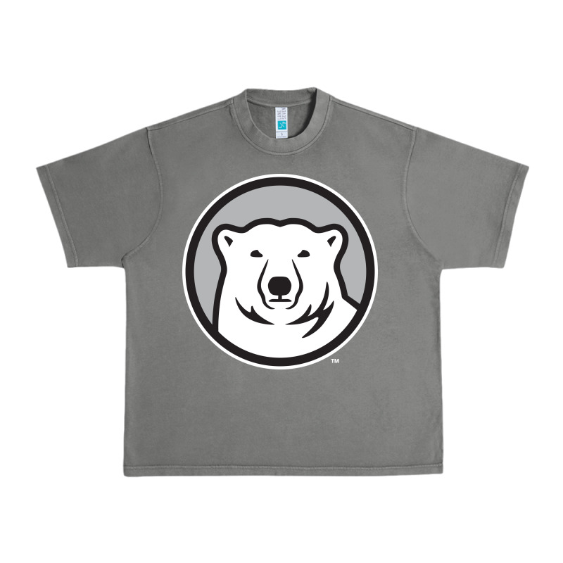 Bowdoin College Urban Heavy Tee by linhVisuals | Teevron
