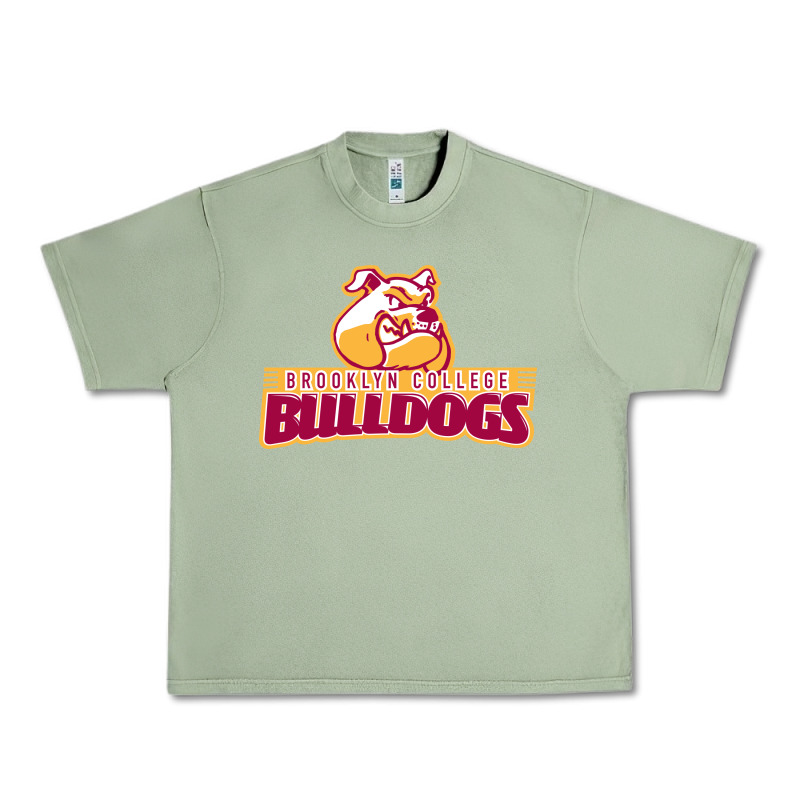 Brooklyn College Urban Heavy Tee by linhVisuals | Teevron