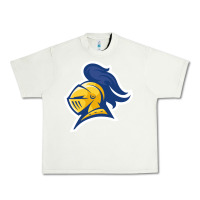 Pistachio Carleton College Urban Heavy Tee - linhVisuals