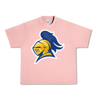 Salmon Carleton College Urban Heavy Tee - linhVisuals