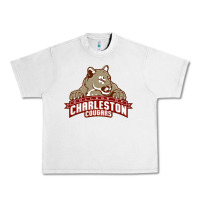Lunar Rock charleston cougars Urban Heavy Tee - linhVisuals