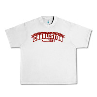 Lunar Rock charleston cougars Urban Heavy Tee - linhVisuals