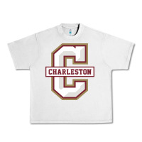 Lunar Rock charleston cougars Urban Heavy Tee - linhVisuals