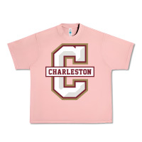 Salmon charleston cougars Urban Heavy Tee - linhVisuals