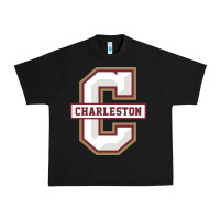 Black charleston cougars Urban Heavy Tee - linhVisuals