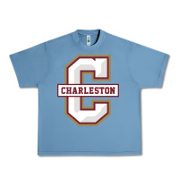 Pebble Blue charleston cougars Urban Heavy Tee - linhVisuals