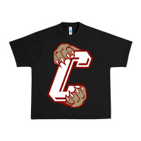 Black charleston cougars Urban Heavy Tee - linhVisuals