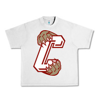 Lunar Rock charleston cougars Urban Heavy Tee - linhVisuals