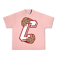 Salmon charleston cougars Urban Heavy Tee - linhVisuals