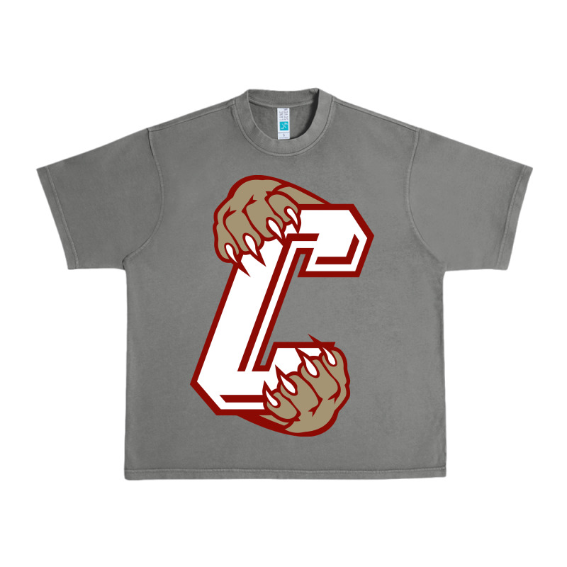 Charleston Cougars Urban Heavy Tee by linhVisuals | Teevron