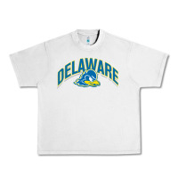 Lunar Rock delaware blue hens Urban Heavy Tee - linhVisuals