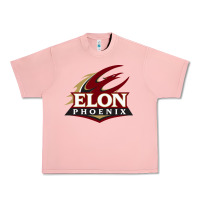 Salmon elon phoenix Urban Heavy Tee - linhVisuals