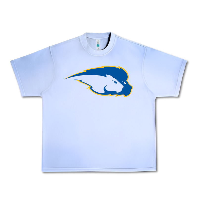 Hofstra Pride Urban Heavy Tee by linhVisuals | Teevron