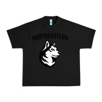 Black northeastern huskies Urban Heavy Tee - linhVisuals