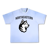 Grape Ice northeastern huskies Urban Heavy Tee - linhVisuals