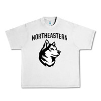 Lunar Rock northeastern huskies Urban Heavy Tee - linhVisuals