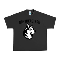 Pigment Black northeastern huskies Urban Heavy Tee - linhVisuals
