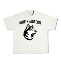 Pistachio northeastern huskies Urban Heavy Tee - linhVisuals