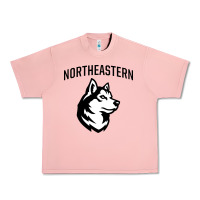 Northeastern Huskies Urban Heavy Tee | Teevron