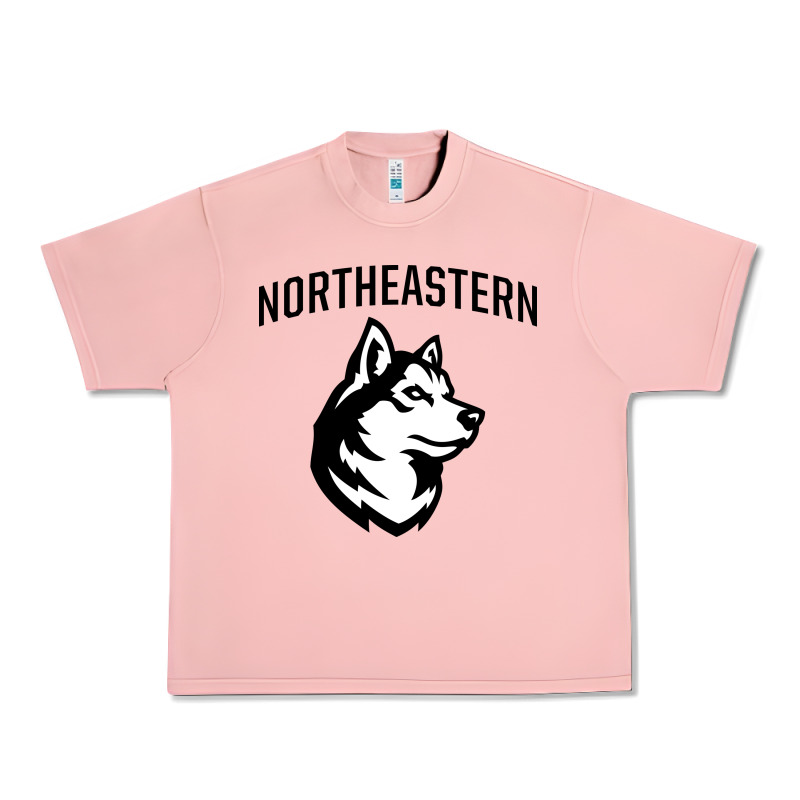 Northeastern Huskies Urban Heavy Tee by linhVisuals | Teevron