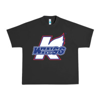 Pigment Black Kalamazoo ice hockey Urban Heavy Tee - linhVisuals