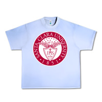 Grape Ice santa clara u seal Urban Heavy Tee - linhVisuals