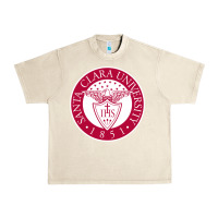 Sandshell santa clara u seal Urban Heavy Tee - linhVisuals