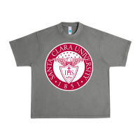 Tornado santa clara u seal Urban Heavy Tee - linhVisuals