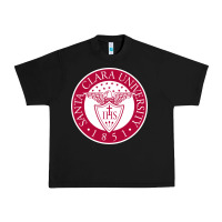 Black santa clara u seal Urban Heavy Tee - linhVisuals