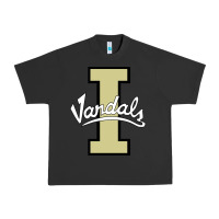 Pigment Black idaho vandals Football team Urban Heavy Tee - linhVisuals