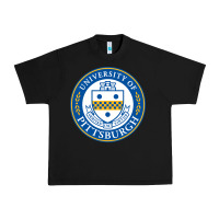 Black university of pittsburgh Urban Heavy Tee - linhVisuals