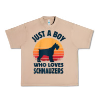 Burro schnauzer just a boy who loves dogs men retro vintage sunset raglan ba Urban Heavy Tee - linhVisuals