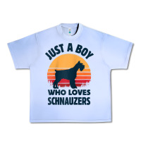 Grape Ice schnauzer just a boy who loves dogs men retro vintage sunset raglan ba Urban Heavy Tee - linhVisuals