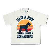 Schnauzer Just A Boy Who Loves Dogs Men Retro Vintage Sunset Raglan Ba Urban Heavy Tee | Teevron
