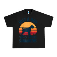 Black schnauzer just a boy who loves dogs men retro vintage sunset raglan ba Urban Heavy Tee - linhVisuals