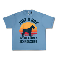 Pebble Blue schnauzer just a boy who loves dogs men retro vintage sunset raglan ba Urban Heavy Tee - linhVisuals