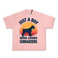 Salmon schnauzer just a boy who loves dogs men retro vintage sunset raglan ba Urban Heavy Tee - linhVisuals