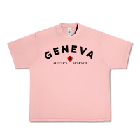 Salmon geneva switzerland clothing gifts and souvenirs Urban Heavy Tee - linhVisuals