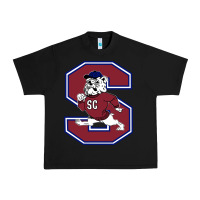 Black south carolina state bulldogs Urban Heavy Tee - linhVisuals