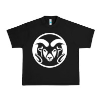 Black colorado state rams Urban Heavy Tee - linhVisuals