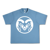 Pebble Blue colorado state rams Urban Heavy Tee - linhVisuals