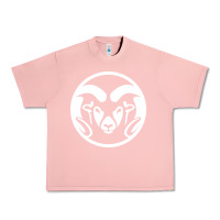 Salmon colorado state rams Urban Heavy Tee - linhVisuals