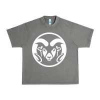 Tornado colorado state rams Urban Heavy Tee - linhVisuals