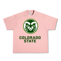 Salmon colorado state rams Urban Heavy Tee - linhVisuals