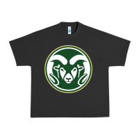 Pigment Black colorado state rams Urban Heavy Tee - linhVisuals
