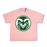 Salmon colorado state rams Urban Heavy Tee - linhVisuals